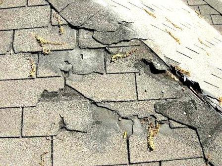 Signs of a Damaged Roof and What You Can Do to Prevent It