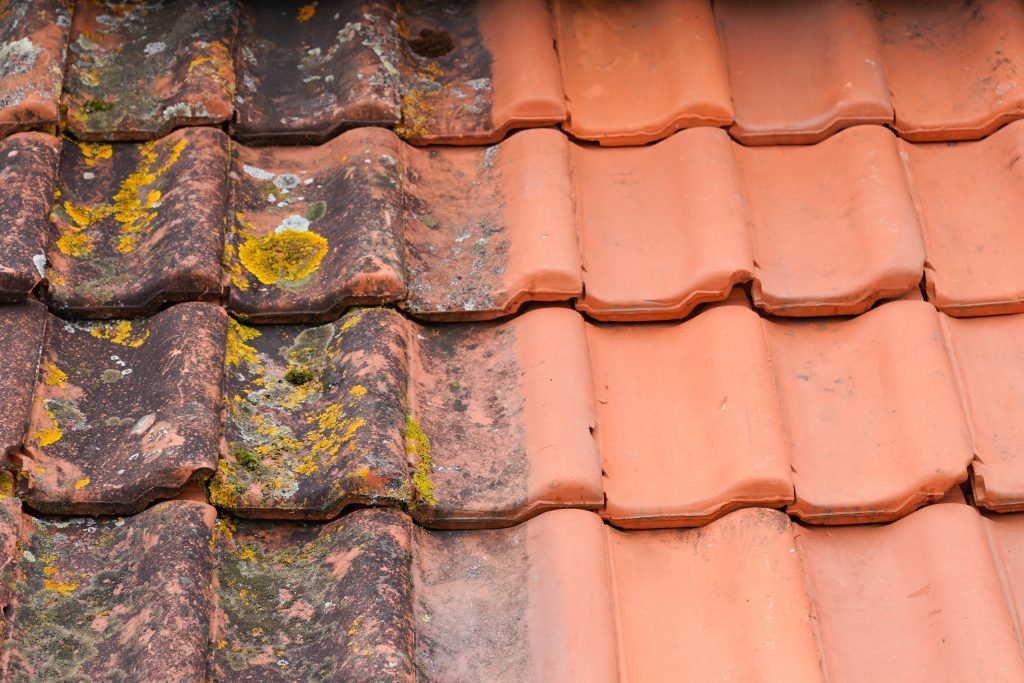 How Often Should I Get My Roof Cleaned? 
