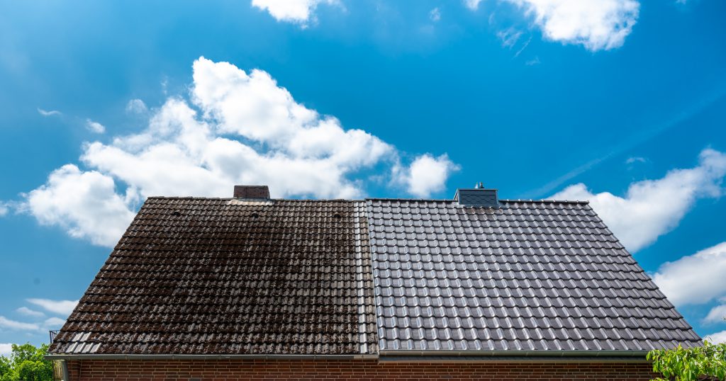 Roof Cleaning and Repair in Texas