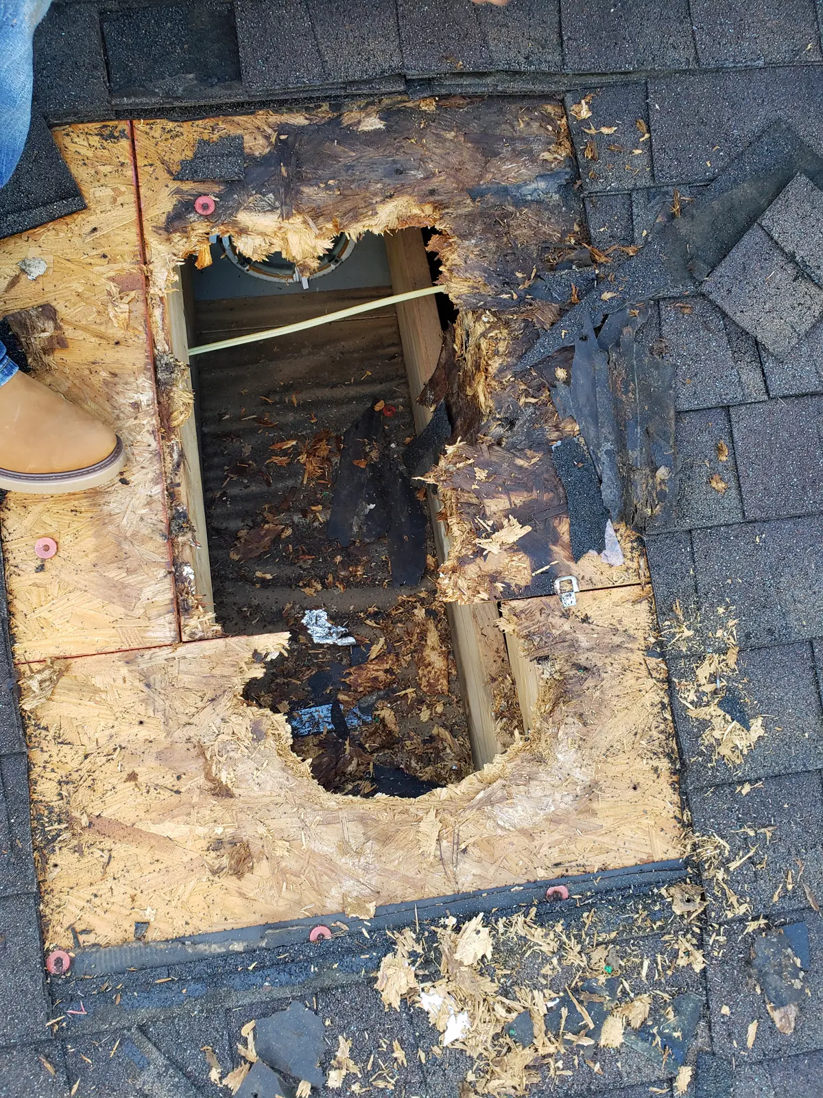 Rotting roof decking discovered under shingles during repair