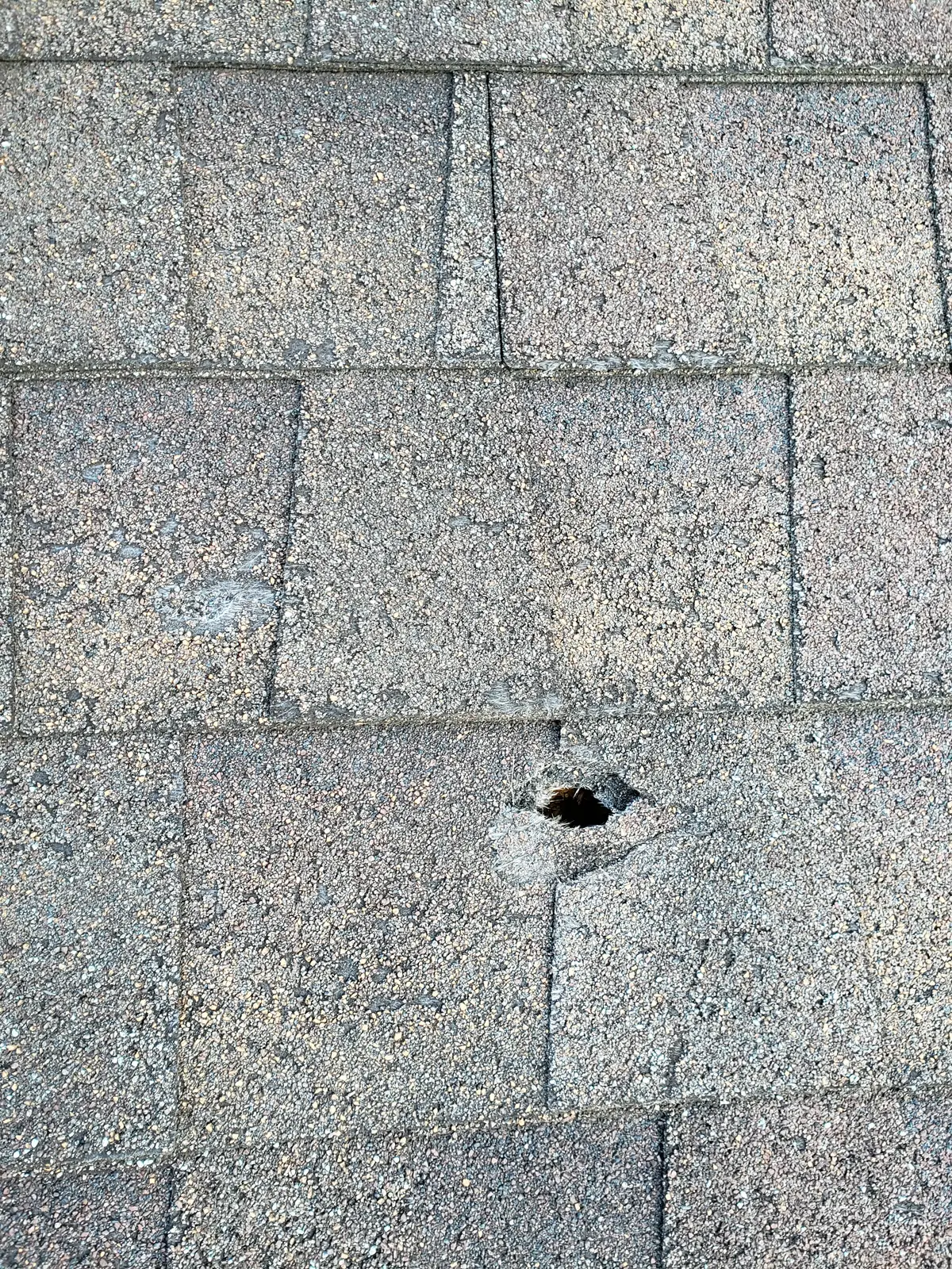 Roof leak caused by hole in shingles before repair